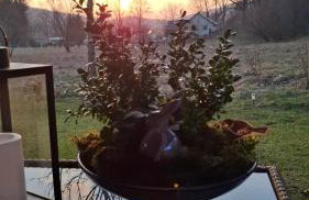 Bliżej Lasu - Rodzinny domek w górach - Foto 18