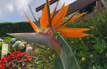 Quinta da Pavoa - Cottage House - Photo 37