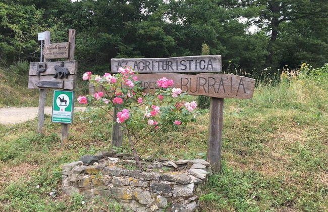 Agriturismo La Casina della Burraia - Photo 64