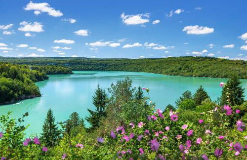 La perle du Jura - Foto 36