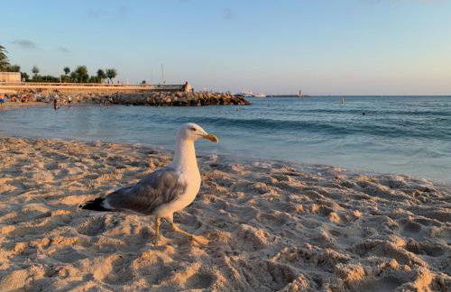 Beautiful apartment Cannes center terrace parking - Foto 44
