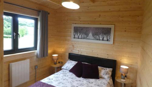 Pound Farm Holidays - Orchard Lodge - Foto 5