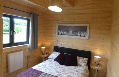 Pound Farm Holidays - Orchard Lodge - Photo 5