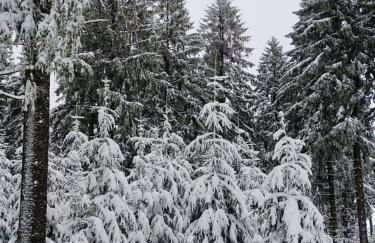Bungalow Schwarzatalblick in Bad Blankenburg Ortsteil Böhlscheiben - Foto 66