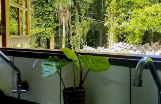 Recanto da Margo 1, casa com acesso a cachoeira - Foto 38