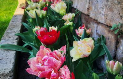 Appartamento Anna - Foto 31