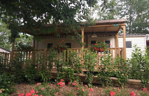 Tenuta Montebello - Foto 39