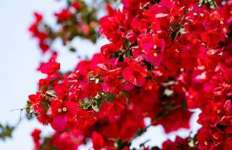 Asteri Studios - Photo 29