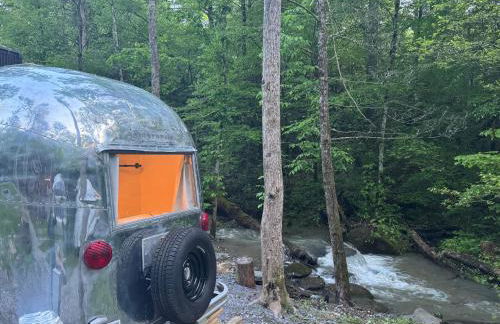 Streamside ShinyTiny Airstream in the Smokies - Foto 28