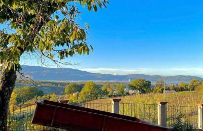 Donna Vittori - Borgo Agricolo - Foto 58