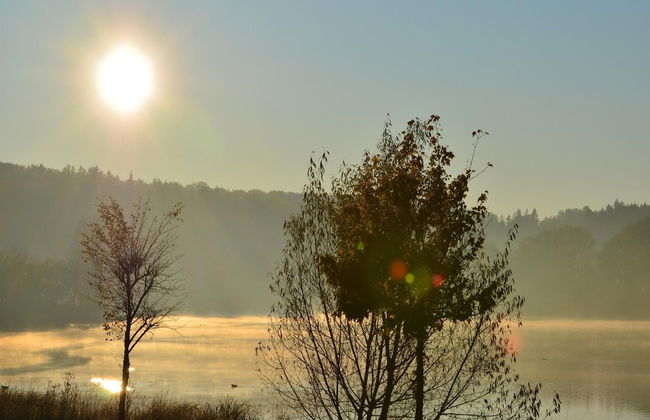 Doppelhaushalfte in Hasselfelde - Foto 17