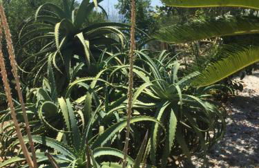 La Terrazza Del Duca - Foto 49