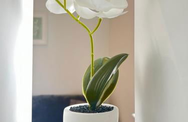 London Heathrow Airport Apartment Voyager House Terminal 12345 - EV electric and Parking available - Foto 3