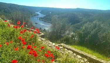 Casa do Castelo - Foto 4