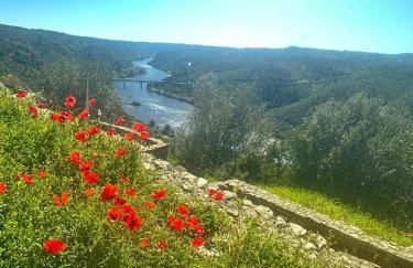 Casa do Castelo - Foto 4