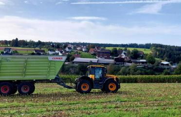 Ferienhof Harr - Foto 17
