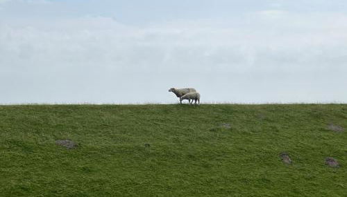 Haus Lith - Fewo Olesen - Foto 2