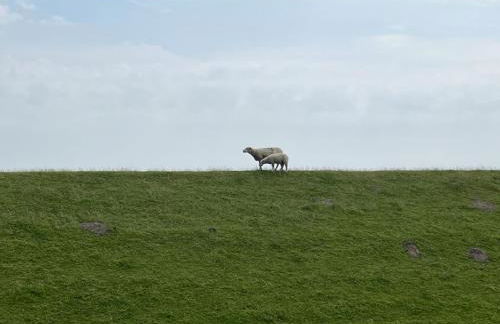 Haus Lith - Fewo Olesen - Foto 2
