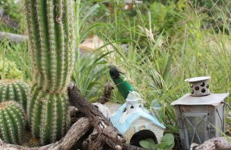 Ocean View Apartments - Foto 51