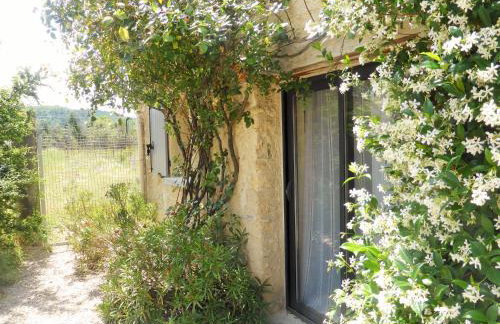 La Bergerie De Vaison - Foto 5