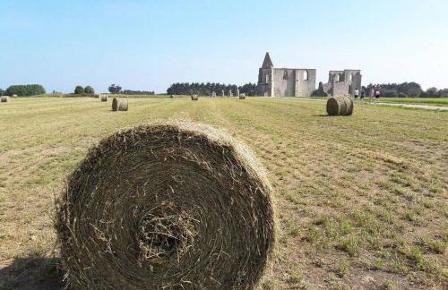 La Virginie - Suite Ile'Ô - Foto 15