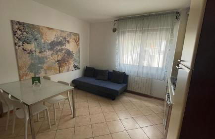 Cleo camelia - Foto 8