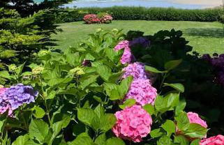 Les Tortues, maison bord de mer, plage à 200 m - Photo 17