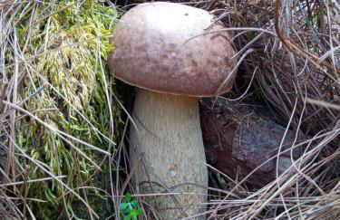 Sunset El Pris - Foto 37