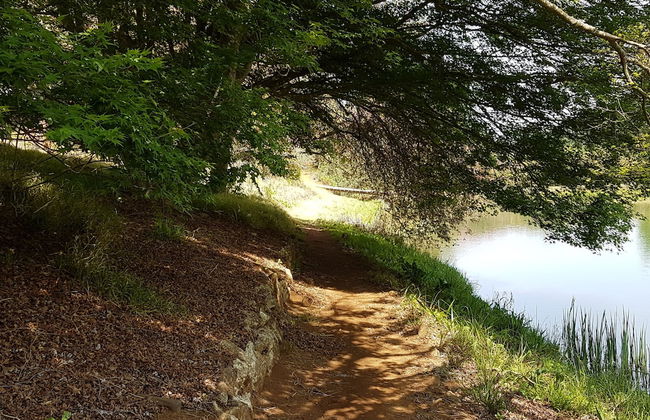 Sherwood's Country House - Foto 53