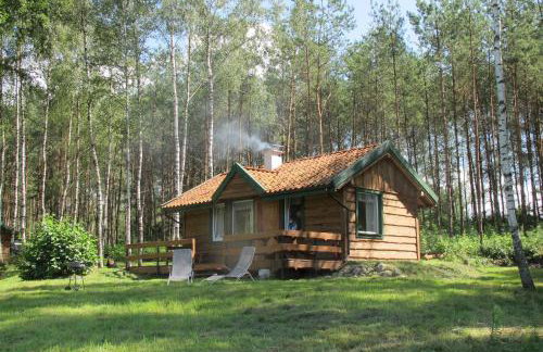 domki na leśnej polanie - Foto 17