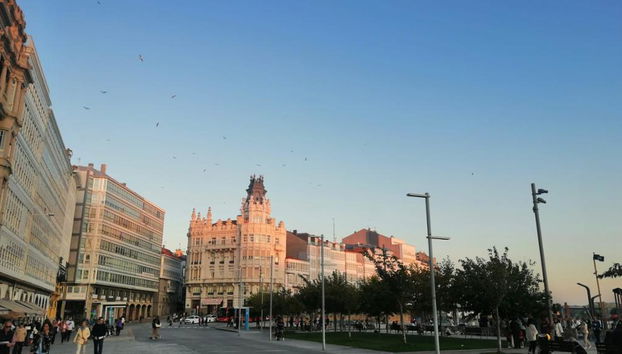 Visita privada A Coruña - Foto 5