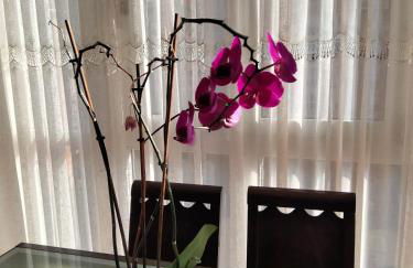 GRAN FAMILIA - Foto 28