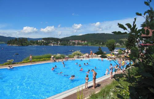 Schwarzwaldblick Rothaus - Photo 46