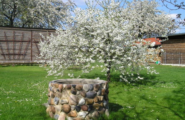 Sachon Comfortable Holiday Residence - Foto 13