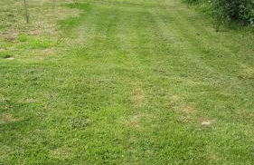 Gîte LES CHANTS DU CREPUSCULE - Foto 25