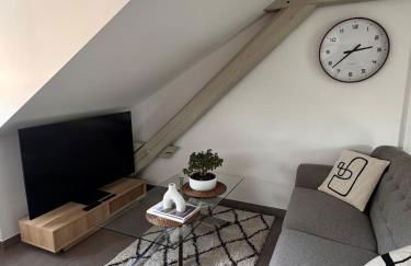 Appartement cosy au centre ville de Colmar - Foto 5