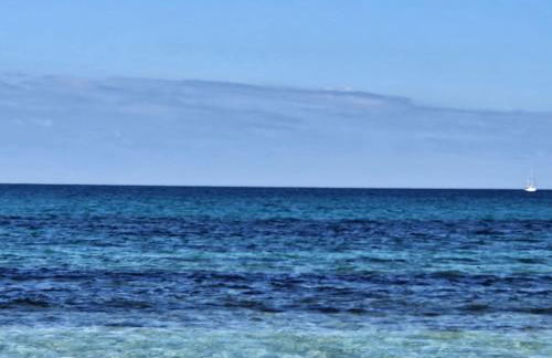 La flabellina blu - Foto 50