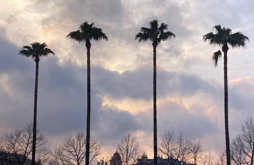 Wunderschöne Wohnung in Jugendstilvilla am Hafen - Photo 25