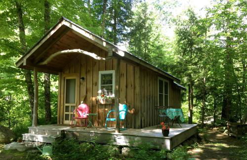 Custom Cabin Surrounded by River in Newfane, Vermont - Foto 1