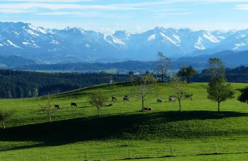 Ferienwohnung Allgäuer Bergwelt - Photo 18