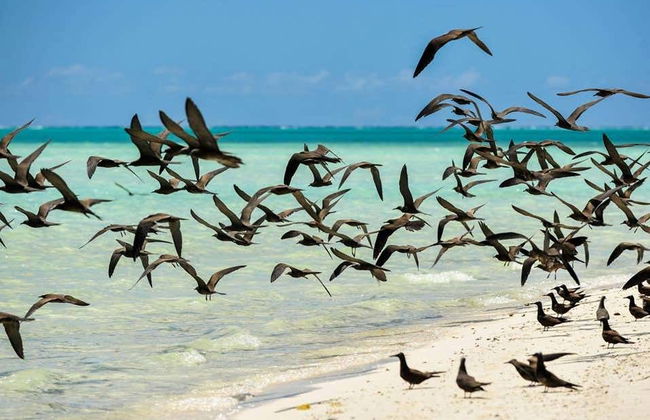 Tetiaroa Catamaran Day Trip - Foto 8