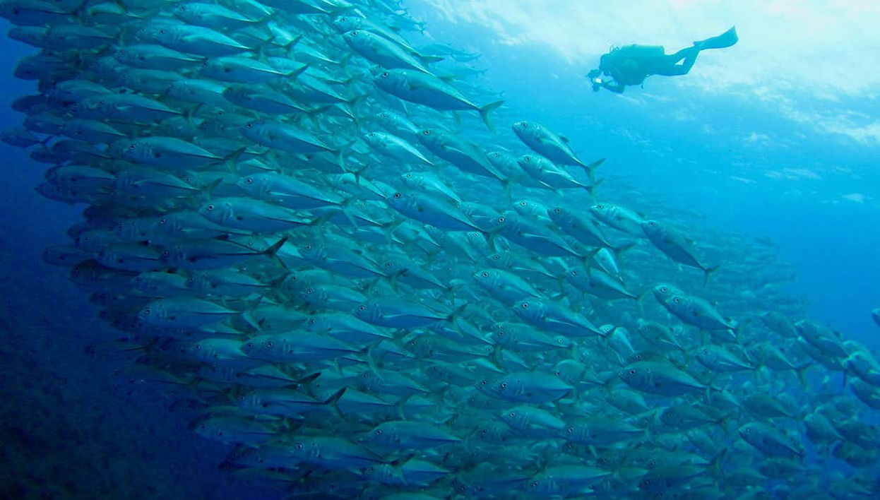 Snorkeling in San Juan