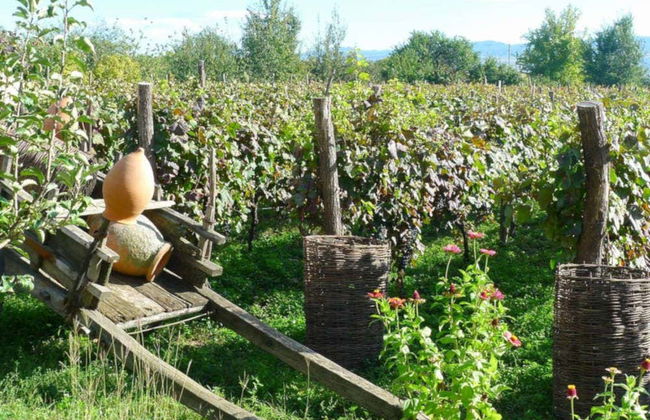 Excursion en Kakhétie avec dégustation de vin - Photo 4