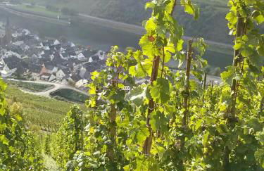 Ferienwohnung Wagner 4 Sterne - Photo 58