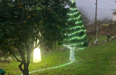 A Casa da Rapariga de Cabelo Azul - Foto 42