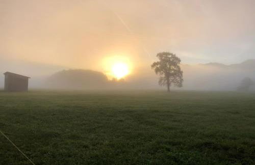 Ferienwohnung Am Moosbach - Foto 22