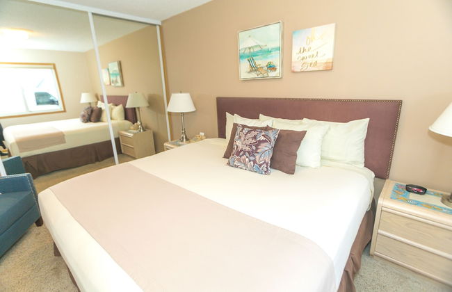 The Grey Gull - Foto 41