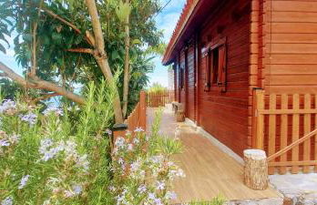 Cabaña Los Palmeros, vista al mar y la montaña - Photo 17