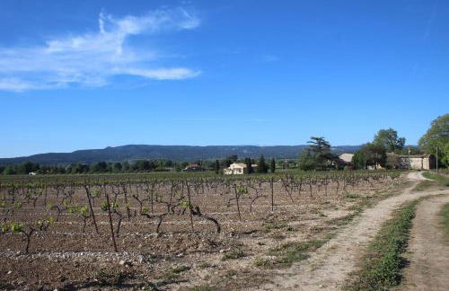 Les Guillaume Rey - Foto 58