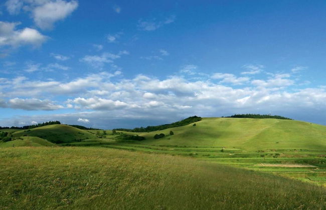 Holiday Apartment Monet in Oberrotweil - Foto 22